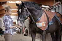Der Verleih von Soletherapie-Mobilen für Pferde bietet auch ergonomisch gestaltete Pferdedecken von BEMER Horse-Sets an.